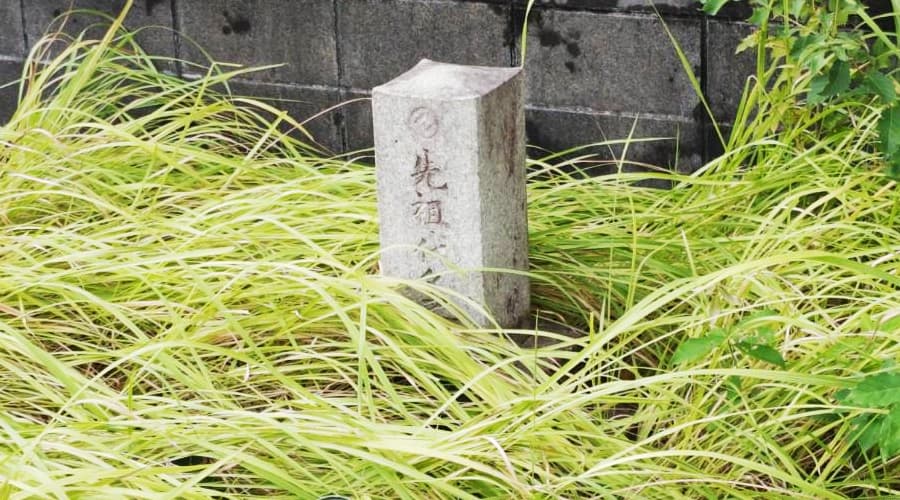 墓じまいの手続きと流れ